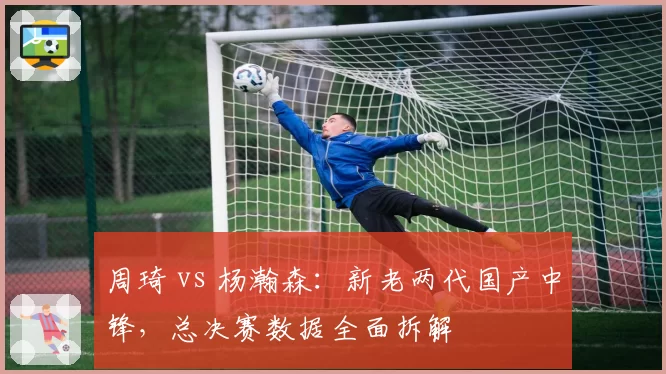 周琦 vs 杨瀚森：新老两代国产中锋，总决赛数据全面拆解