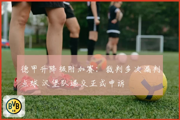 德甲升降级附加赛：裁判多次漏判点球 汉堡队递交正式申诉
