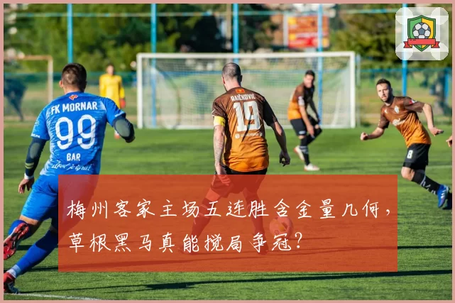 梅州客家主场五连胜含金量几何，草根黑马真能搅局争冠？
