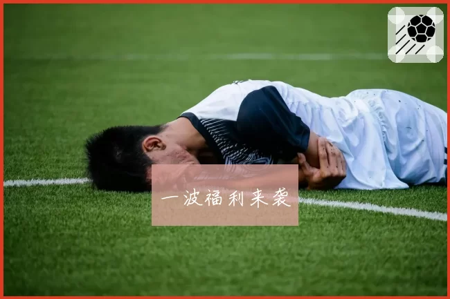 一波福利来袭
