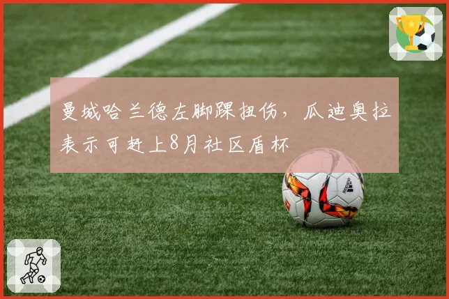 曼城哈兰德左脚踝扭伤，瓜迪奥拉表示可赶上8月社区盾杯